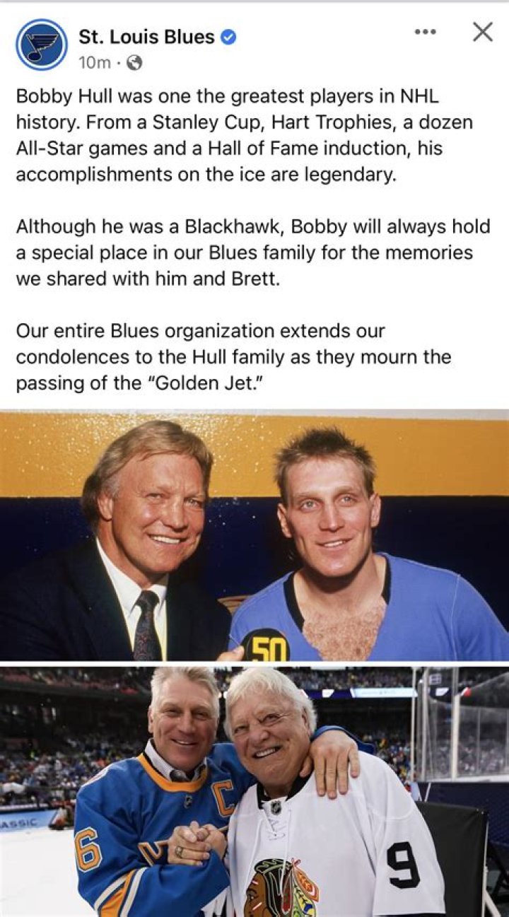 Exploring The Relationship Between Bobby Hull And Brett Hull