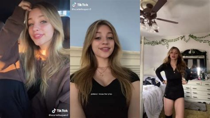 Discoveries And Insights On TikTok Meet